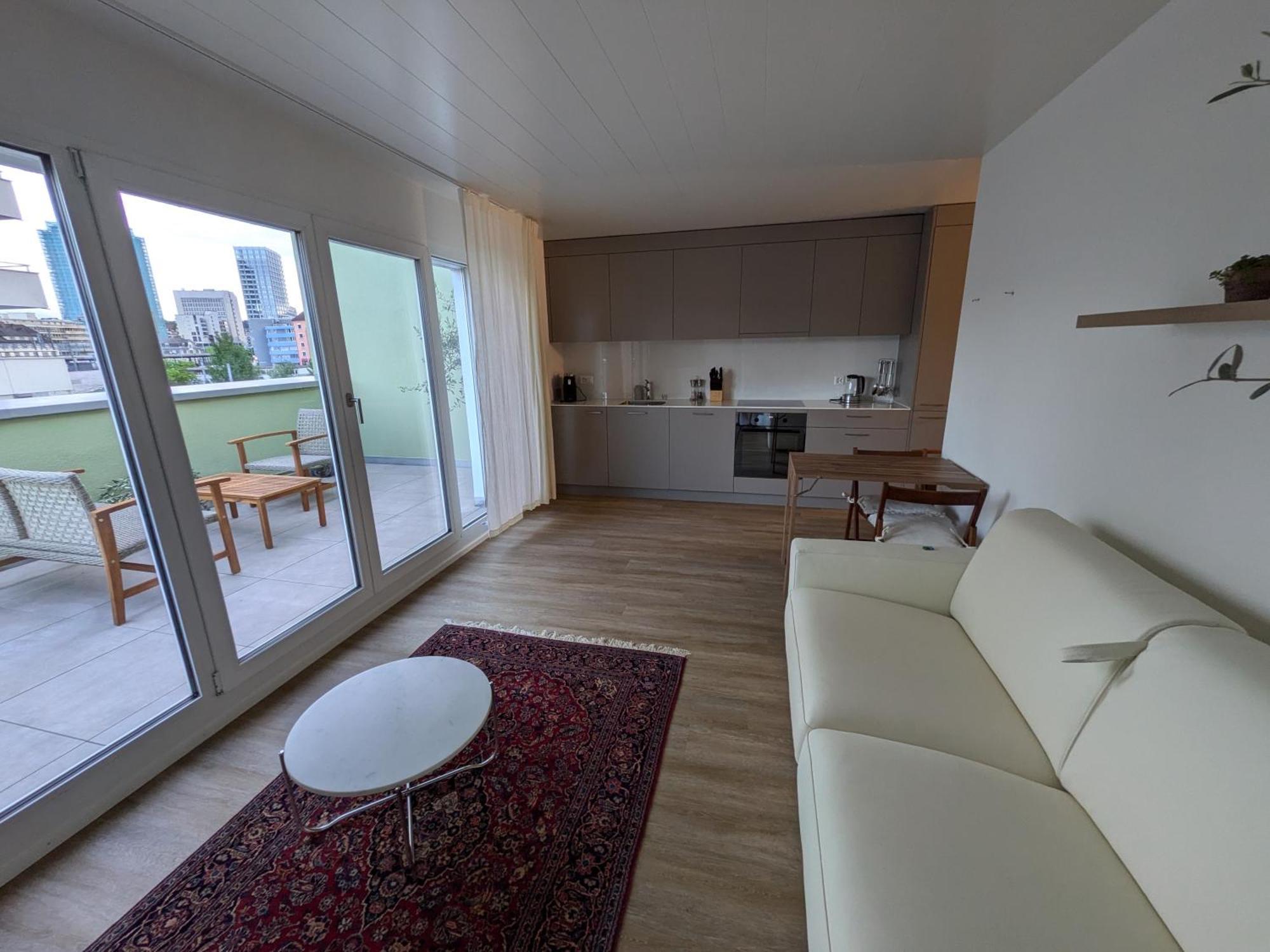 Skyline Rooftop Suite With 2 Balconies -401- Zurich Exterior photo